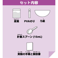 池田工業社 こどもラボ おうちで実験! モコモコ結晶の山 890 1セット(12個)