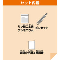 池田工業社 こどもラボ おうちで実験! 煌めくクリスタル 780 1セット(12個)