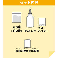 池田工業社 こどもラボ おうちで実験! キラキラスライム 790 1セット(12個)