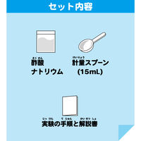 池田工業社 こどもラボ おうちで実験! 一瞬で凍る水!? 800 1セット（12個）