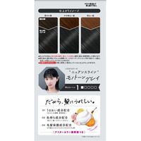 ビューティラボ ホイップヘアカラー モノトーングレイ ホーユー