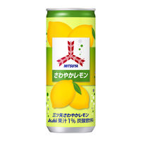 アサヒ飲料 三ツ矢サイダーさわやかレモン 250ml 1セット（40缶）