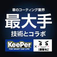 激落ちくん 笑激SHOCK 浴槽コーティング 1個 レック