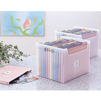 ナカバヤシ インデックスファイルBOX F4 A4 フボI-F4C 1個