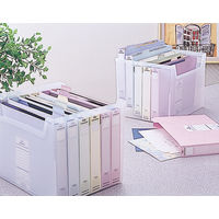 ナカバヤシ インデックスファイルBOX F3 A4 フボI-F3C 1個