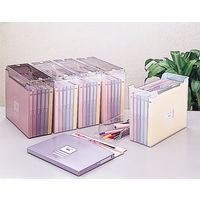 ナカバヤシ インデックスファイルBOX F2 A4 フボI-F2C 1個