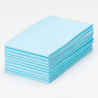 オオサキメディカル メディシーツ 100×120cm 57227 1袋（10枚） 医療・介護（吸水防水シーツ） オリジナル