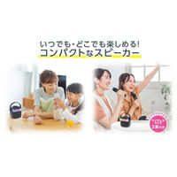 カラオケもできるBluetoothスピーカー S02BS-002BK 1セット