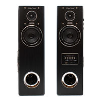 クマザキエイム ダイナミック・サウンドスピーカー DS-12 1組