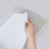 デビカ プラおどうぐばこ A4クリアファイル対応 044152 1個