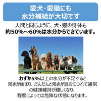 ペットスエット パウダー 愛犬・猫用 3ヶ月から 国産 200ml用（10g× 5本）1袋 アース・ペット 水分補給