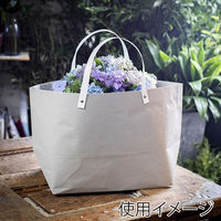 星野 314237 ジミーキャリーバッグHKーJMー2 4582259896376 1セット(50枚入×1束 合計50枚)（直送品）