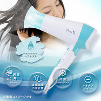 オーム電機 大風量イオンヘアドライヤーHIHD812 00-5876 1個