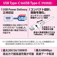 オーム電機 PD対応 C TO 10PDーW 01-7194 1個