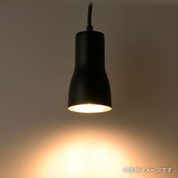 オーム電機 ペンダントライトYSE26ーK 06-4172 1個