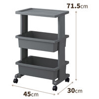 天馬 ポリループ ワゴンダークグレー 811001150 1個