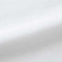 アイトス Pieds長袖ブラウス ホワイト19号 HCB4111-001-19 HCB4111 1枚（直送品）