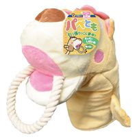 パペとも ぐいぐいしばいぬ 1個 ドギーマン おもちゃ 犬用