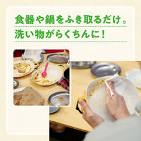 （数量限定）エリエール キレキラ！OUTDOOR 食器ふきウェットシート チャムス ミントの香り 20枚入 1パック 大王製紙