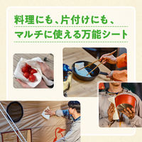 ペーパータオル プロワイプ OUTDOOR タフドライシート チャムス 1パック 50組（4枚重ね）大王製紙