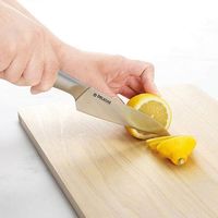 カクセー DELICIAS -デリシアス- ペティナイフ DEL-03 1個