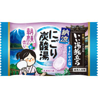入浴剤 クール 納涼 いい湯旅立ち にごり炭酸湯 そよかぜの宿 1箱（12錠入）医薬部外品 白元アース