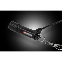 ジェントス UV機能付小型多目的キーライト充電式 U10 1台