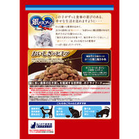 銀のスプーン 贅沢うまみ仕立て 食事の吐き戻し軽減フード お魚づくし 国産 800g（小分けパック4袋入）3個 キャットフード