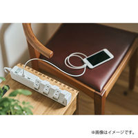 延長コード 電源タップ 12個口 1.8m 2P式 回転タップ USBポート付 ファーゴ ホワイト PT60112WH 1個