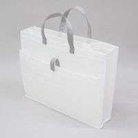 Sheersto ランドリー収納 ランドリーハンガー収納バッグ 吊下げ収納 クリア 幅52×奥行12×高さ40cm 1個 東和産業