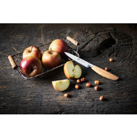 バッラリーニ（Ballarini） テヴェレ パーリングナイフ 90mm 果物 小刃 包丁 ステンレス 1本 日本正規販売品