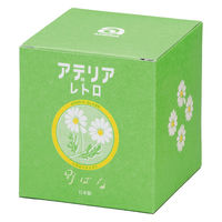 アデリア アデリアレトロ ボンボン入れ ミニ 保存容器 野ばな 日本製 化粧箱入り 1個 石塚硝子