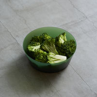 h tag（アッシュタグ）ラップディッシュ ディッシュ グリーン 電子レンジ対応 1個 アッシュコンセプト