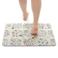 珪藻土パウダー入 ソフトバスマット 抗菌防臭 吸水速乾 40×60cm ムーミン ボタニス 1枚 ヨコズナクリエーション