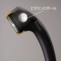 サロンスタイルシャワー専用 ビタミンCボール 約3カ月分 SSV-48N 1箱（6個入）アラミック