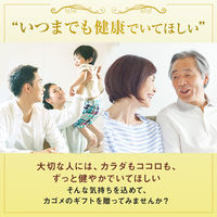 【EC向け】カゴメ 野菜生活100 国産プレミアム アソート 125ml 1セット（24本）