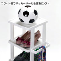 不動技研 i-Zucc シューズラック 5段 W(ホワイト) F24940 1個（直送品）