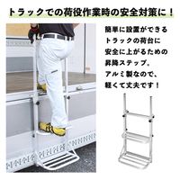 MKトレンド トラックステップ ワイド 2台セット MTS-02 1セット(2台)（直送品）