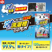 激落ちくん 泡立つ洗濯槽クリーナー 1回分 120g 1個 レック