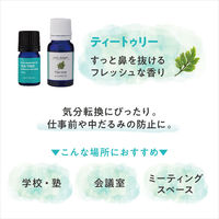デイリーディライト エッセンシャルオイルS 100%天然精油 ティートゥリー すっきりしたい時に 3mL 1個 グローバルプロダクトプランニング