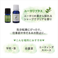 デイリーディライト エッセンシャルオイル 100%天然精油 ユーカリプタス クリアな気持ちに 10mL 1個 グローバルプロダクトプランニング
