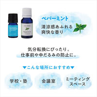 デイリーディライト エッセンシャルオイルS 100%天然精油 ペパーミント さわやかな気分に 3mL 1個 グローバルプロダクトプランニング