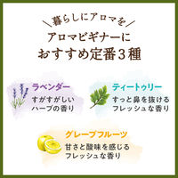 デイリーディライト エッセンシャルオイル はじめての精油3本セット 各3mL グローバルプロダクトプランニング