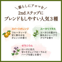 デイリーディライト エッセンシャルオイル 香りの楽しみ広がる精油3本セット 各3mL グローバルプロダクトプランニング