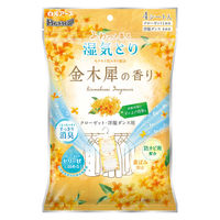ドライ&ドライUP 除湿剤 クローゼット・洋服ダンス用 金木犀の香り 1セット（4シート入×2個） 白元アース