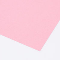 アスクル 色画用紙 もも 八つ切り 1袋(100枚入) オリジナル