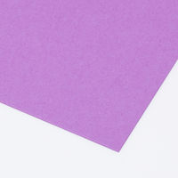 アスクル 色画用紙 むらさき 八つ切り 1袋(100枚入) オリジナル