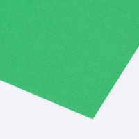 アスクル 色画用紙 みどり 四つ切り 1袋(100枚入) オリジナル