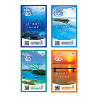 入浴剤 バスロマン 旅する沖縄 バスソルト 4種アソート 1箱（12包入） アース製薬