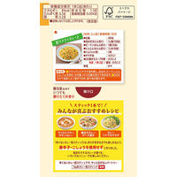 辛くないカレー粉スティック 1個 エスビー食品 S＆B